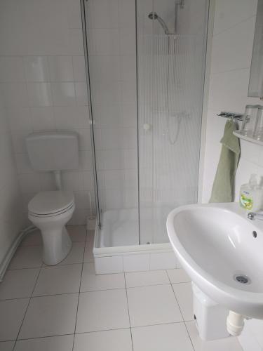 a bathroom with a shower and a toilet and a sink at Panzió-Kemping Bekölce in Bekölce