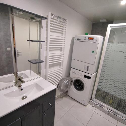 La salle de bains est pourvue d'un lave-linge et d'un lavabo. dans l'établissement Appartement avec cour fermée, à Andelot
