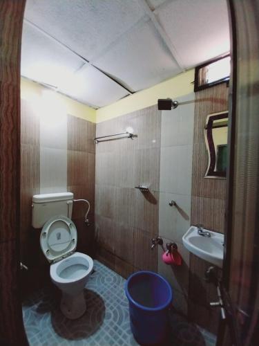 a bathroom with a toilet and a sink at Alfina Guest House in Madgaon
