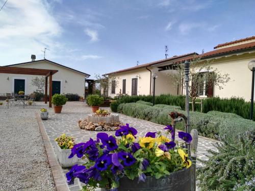 a courtyard with flowers in a yard at Residence Terra Dei Santi Country House in Spello