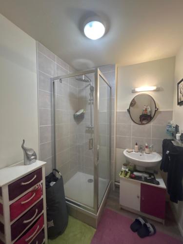 une salle de bain avec douche et lavabo dans l'établissement T3 Charmant et accessible, à Saint-Étienne-du-Rouvray