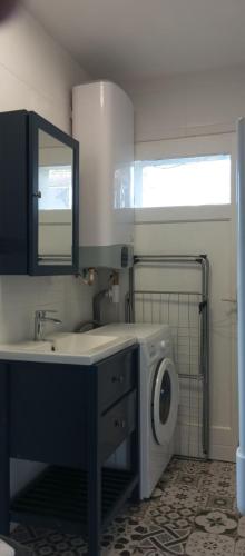 une salle de bain avec un lavabo et une machine à laver dans l'établissement Maison dans hotel particulier 18eme, wifi, piscine chauffée, à Château-Thierry