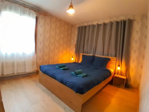 a bedroom with a bed with blue sheets and a window at L'Evasion, maison spacieuse, véranda, parking in Saint-André-de-Cubzac