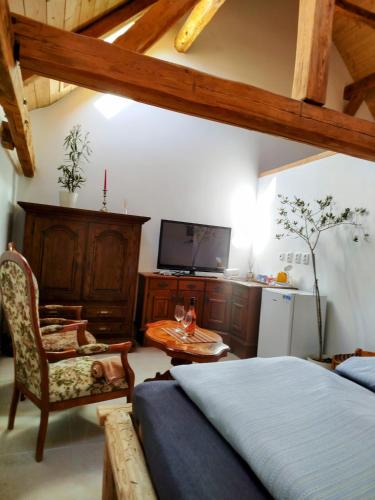 a bedroom with a bed and a tv and a chair at Jílová tvrz in Rožmberk nad Vltavou