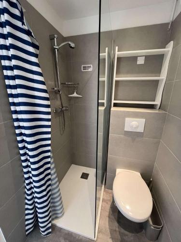 une salle de bain avec toilettes et douche en verre dans l'établissement MORIANI PLAGE Studio climatisé 4 pers B2, à Moriani-Plage