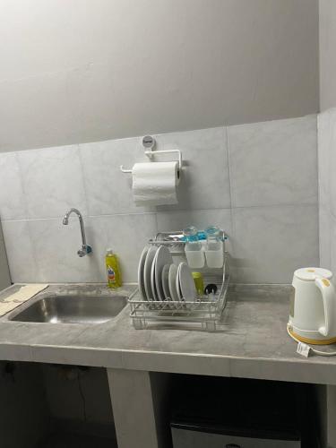 a kitchen sink with a drying rack next to it at Departamento V&S in Posadas