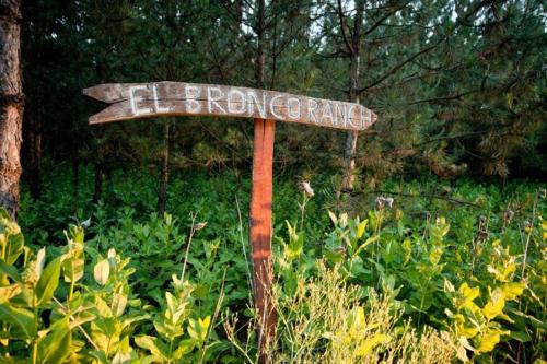 Zahrada ubytování El Bronco Western Ranch