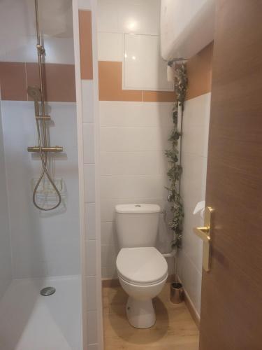 a bathroom with a white toilet in a room at La tête dans les nuages in Balaruc-les-Bains