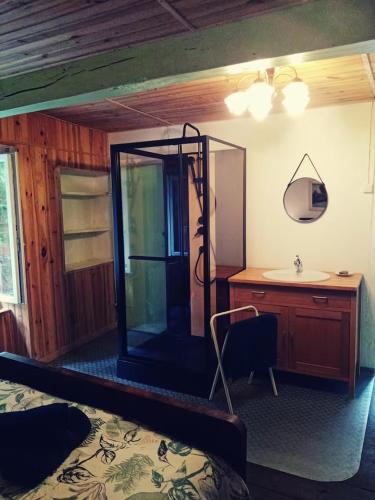a bedroom with a shower and a sink and a bed at La Balaguette in Balaguères