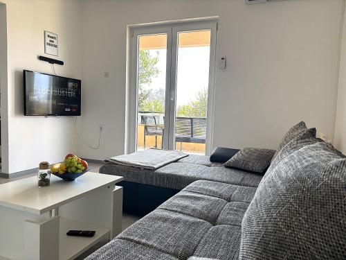 Televiisor ja/või meelelahutuskeskus majutusasutuses NOVOSEL apartman