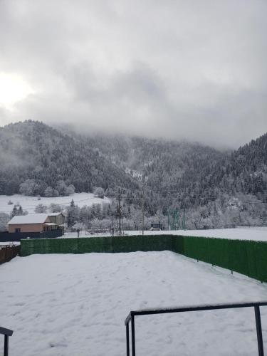 a snow covered roof with a view of a mountain at Wood cottage in Borjomi in Borjomi