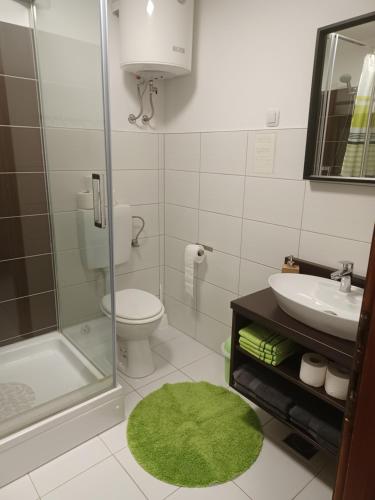 Koupelna v ubytování Apartmani Ana - Meka Draga