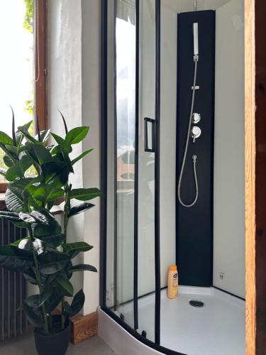 a shower with a glass door next to a plant at Relais diligence famille in Audelange
