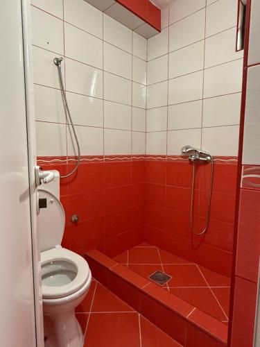 Gallery image of Lake Rooms in Virpazar