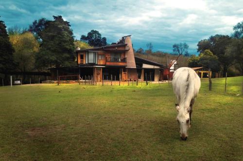 Φωτογραφία από το άλμπουμ του Posada Del Castor σε Santa Rosa de Calamuchita