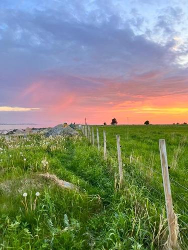 a fence in a field with a sunset in the background at Cozy house with sea view in Havsteinen