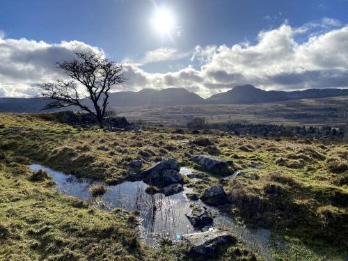 a field with a tree and rocks and the sun at Beautifully Restored Log Cabin in Trawsfynydd
