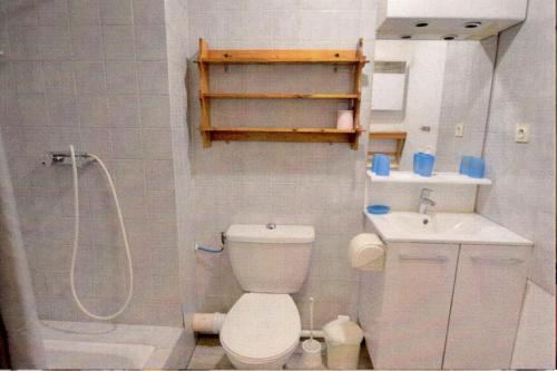 une petite salle de bain avec toilettes et lavabo dans l'établissement Résidence Cybele, Studio 1er Etg proche centre du village, à Brides-les-Bains