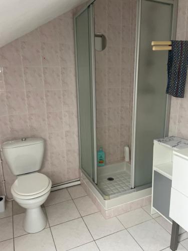 a bathroom with a toilet and a shower at Gainsbourg in Ouroux-sur-Saône