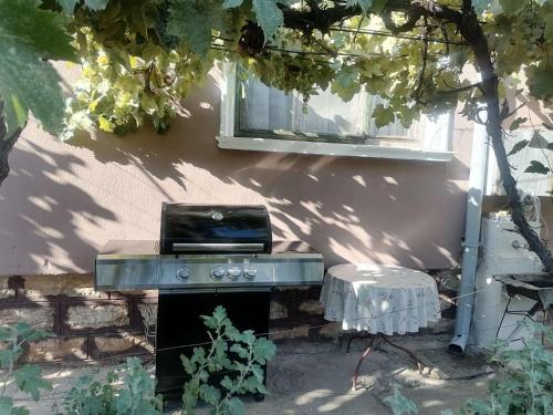 Zahrada ubytování Guest House RUSALIA