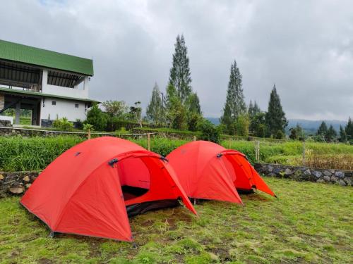 Un jardín fuera de Homestay Hidayah Sembalun