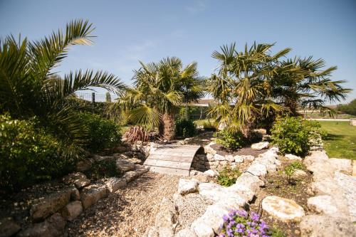 a garden with a bridge and palm trees and flowers at Le Logis de la Gabirotte in Nieulle-sur-Seudre