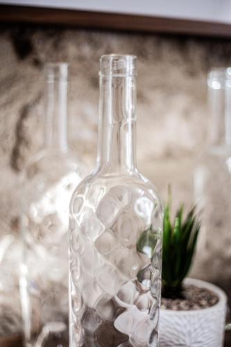 a glass bottle with a plant in a pot at Le Logis de la Gabirotte in Nieulle-sur-Seudre