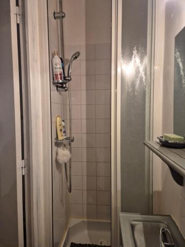 une douche dans une salle de bain avec un lavabo dans l'établissement Honfleur évasion, à Honfleur