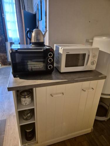 un four micro-ondes et un grille-pain sur un comptoir dans l'établissement Honfleur évasion, à Honfleur