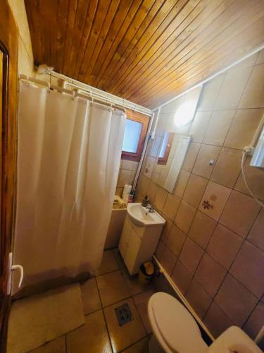 a bathroom with a toilet and a shower and a sink at Cabana Baile Chirui Ciubar in Băile Chirui