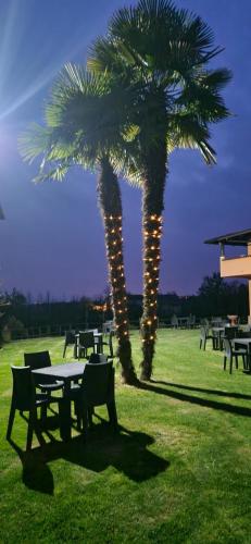 a table and a palm tree with lights on it at lalunanera in Cortazzone