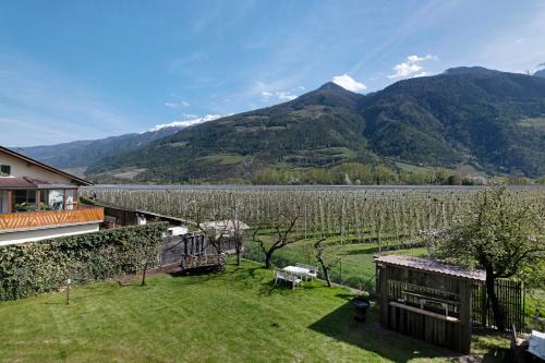 a backyard with a view of a vineyard and mountains at Wiesenblick in Ciardes