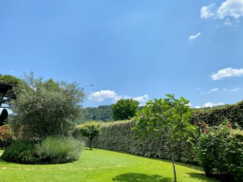 Pozzo Di Mezzo B&B photo 48
