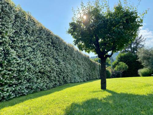 Pozzo Di Mezzo B&B photo 55