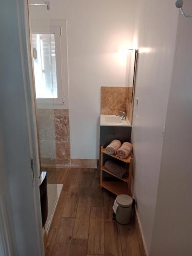 une petite salle de bain avec un lavabo et un miroir dans l'établissement T2 bord de mer avec grand jardin, à Six-Fours-les-Plages