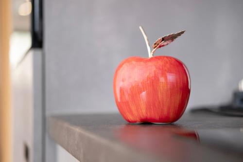a red apple sitting on top of a counter at Wiesenblick in Ciardes