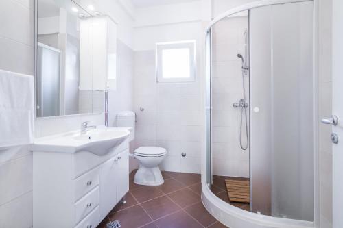 特罗吉尔Apartment Carpe Diem的带盥洗池和淋浴的浴室