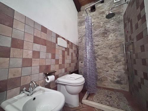 a bathroom with a toilet and a shower and a sink at Hammam Rooms, Senorbì, Sardegna in Senorbì