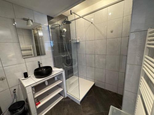 une salle de bain avec une douche en verre et un lavabo dans l'établissement Jardin de la reine - Premiere conciergerie, à Montpellier