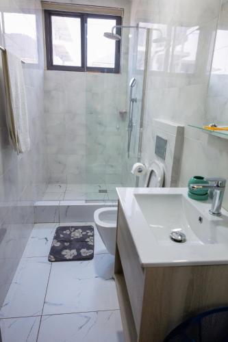 une salle de bain avec un lavabo, une douche et des toilettes dans l'établissement The Pinnacle Serviced Apartment, Bar and Lounge, à Otinshi