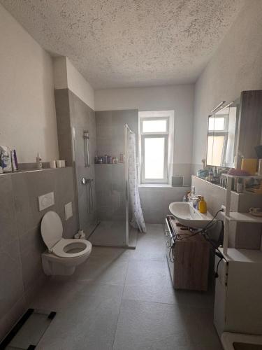 a bathroom with a toilet and a sink at Exclusive luxury apartment, central in Rosenheim