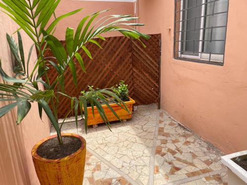 a plant in a pot next to a fence at Charming and peaceful F3 House in Dakar