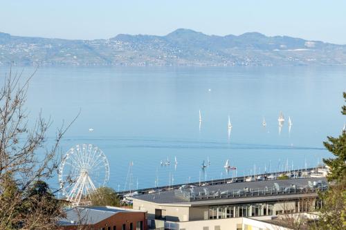 a ferris wheel next to a large body of water at Côté Lac Hostel Evian in Évian-les-Bains