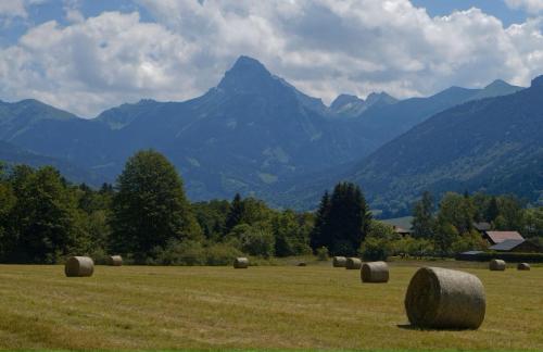 a field with hay bales in front of mountains at Côté Lac Hostel Evian in Évian-les-Bains