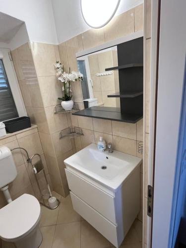 Koupelna v ubytování Viola rooms