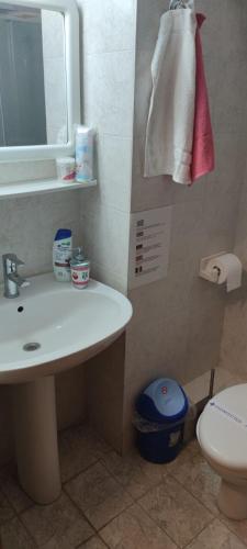 a bathroom with a sink and a toilet and a mirror at Rodica Studios in Kallithea Halkidikis
