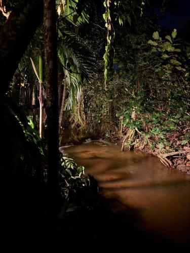 a small path in a jungle with trees and bushes at Water Pearl in Kosgama
