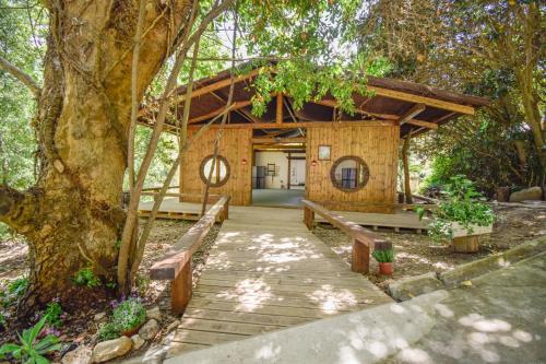 a wooden walkway leading to a tree house at Penedo Escape Nature in Colares