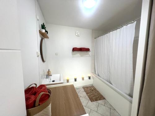 La petite salle de bains est pourvue d'une douche et d'un lavabo. dans l'établissement ValenStay - Cosy Love - Anzin - Netflix, à Anzin