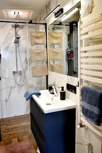 a bathroom with a sink and a shower at Józefinka House of Energylandia Zator in Spytkowice
